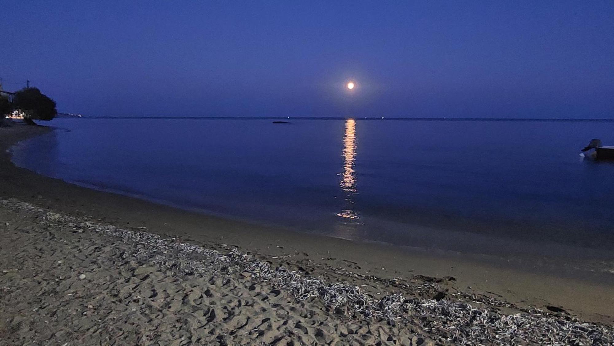 Fotis At Komi Hébergement de vacances