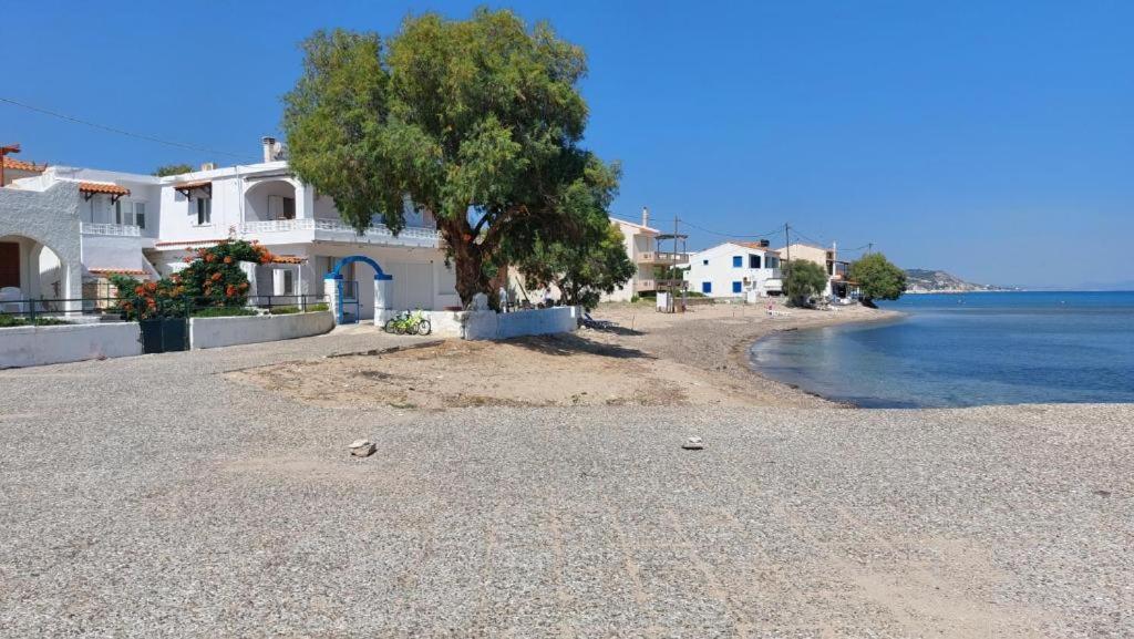 Fotis At Komi Hébergement de vacances *